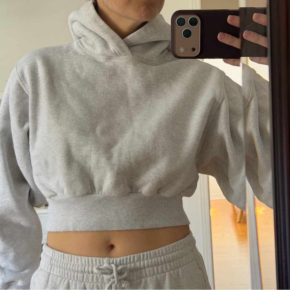 Aritzia cropped Hoodie